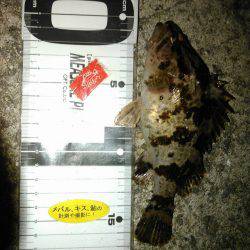 電話しなが釣りの巻